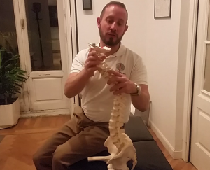 quiropráctica corrige la escoliosis